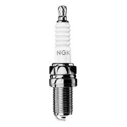 Bougies NGK/6597