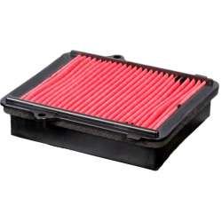 Champion Filtre à air