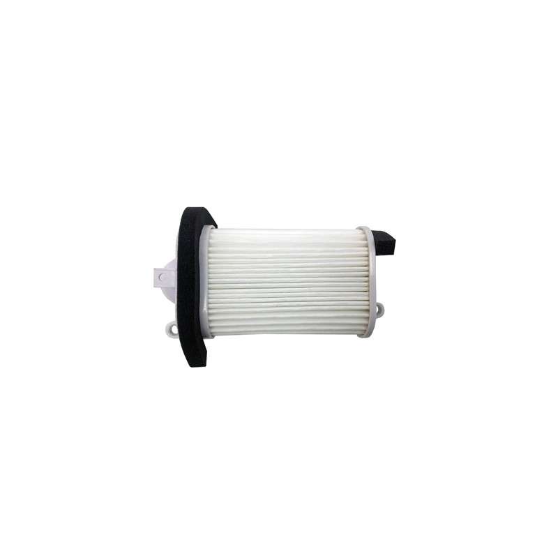 Champion Luftfilter