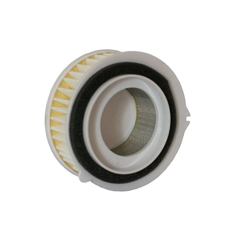 Champion Luftfilter