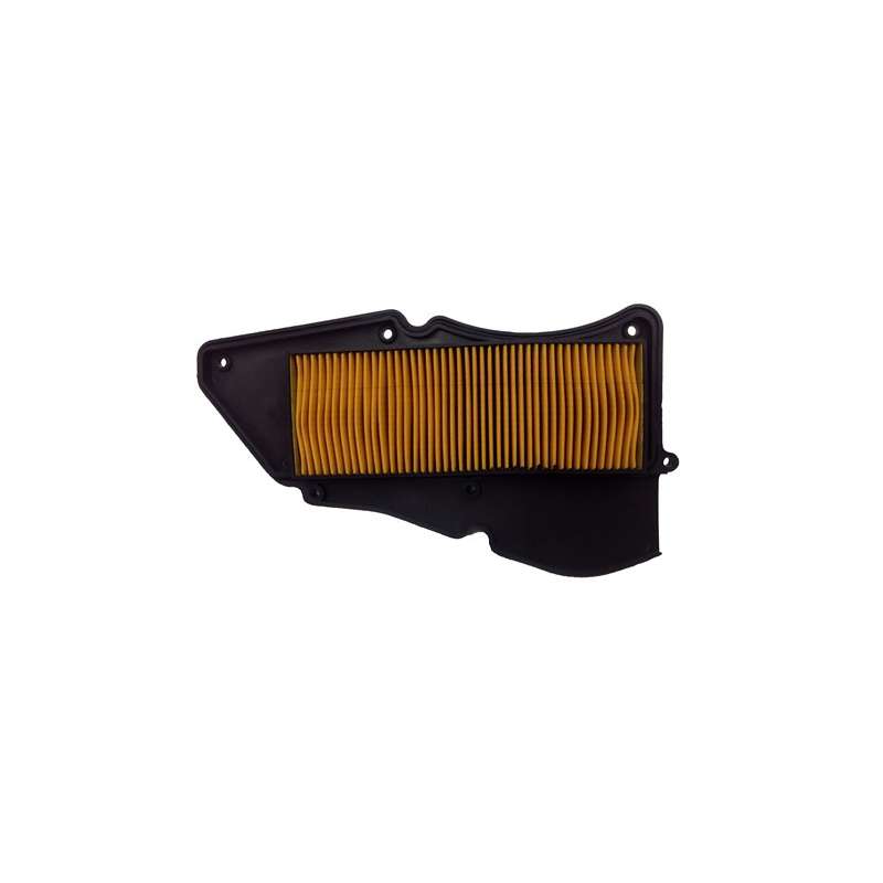 Champion Luftfilter