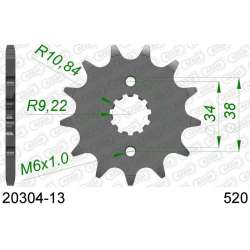 DC AFAM Pignon 520 avec 13 dents