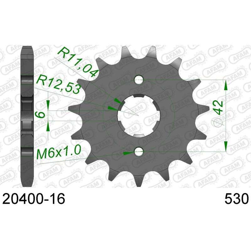 DC AFAM Pignon 530 avec 16 dents