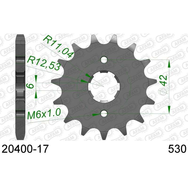 DC AFAM Pignon 530 avec 17 dents