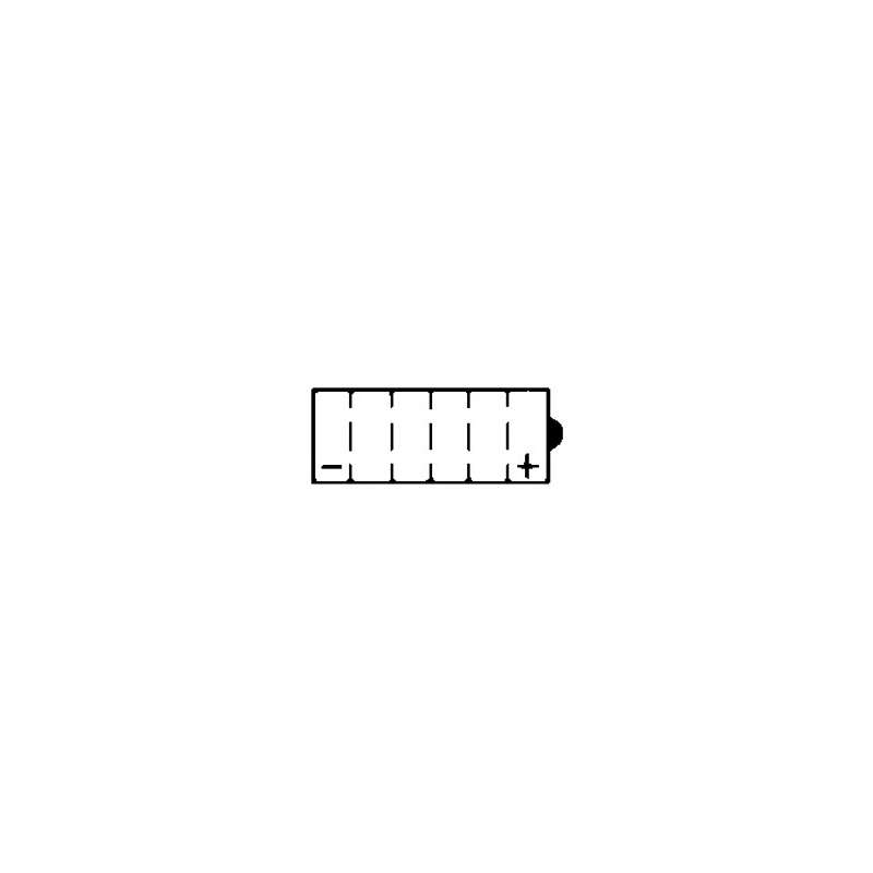 Batterie YUASA YB14L-A