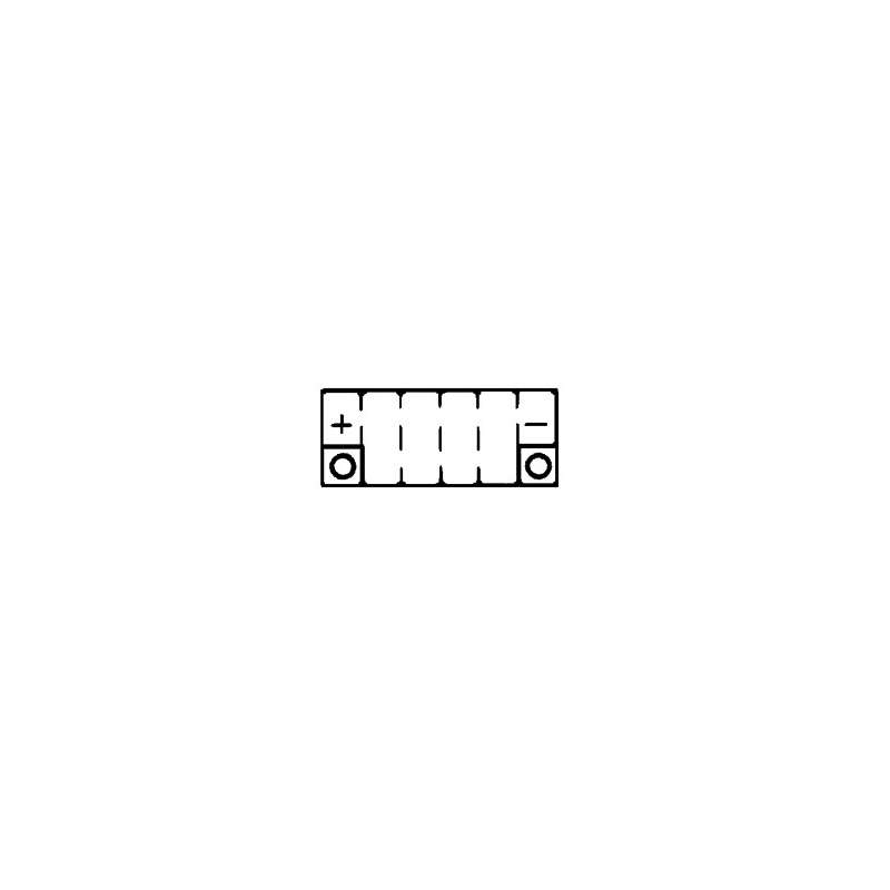 Batterie YUASA YT14B-BS