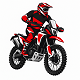 Enduro